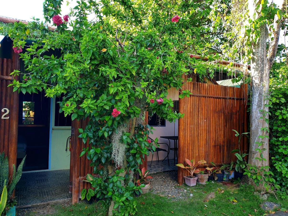 MJ's Residences Garden Hotel Moalboal Exterior foto